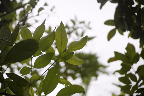 Item #11526280246163417723726744614800321461002291410240764604854049625803862310913 Media