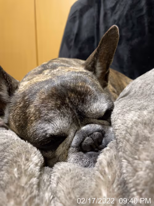 Item #99685864258770601277757069699041273913103300030191572471139504773587120685057 Media