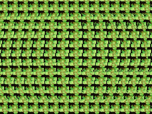 Item #88130759945627104659717679191221454266034471684034986277212474772838504464444 Media