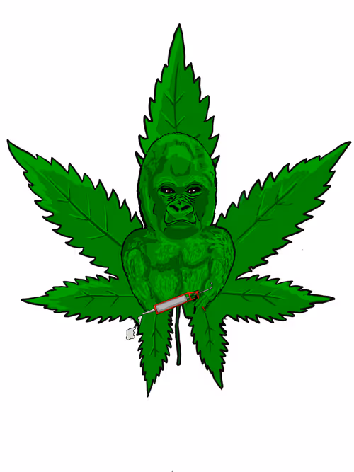 Item #3629226787036885345407013839473637357726433756934680638690710221482524409857 Media