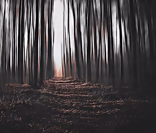 Item #6149779074406706535937189605228961934585844034215787153183181518374610927617 Media