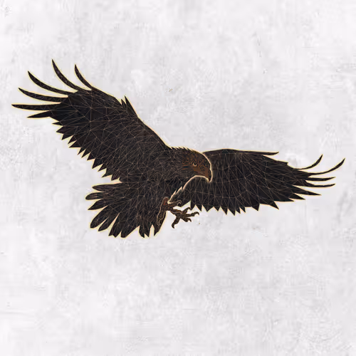 20896448118686648895018850071563603312663007578941629509204544142889088712705