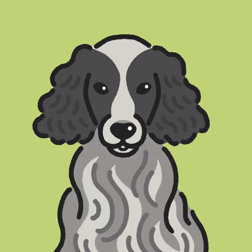 Item #90883897680502697585068501968225030768274104999531421532707586840379724398593 Media