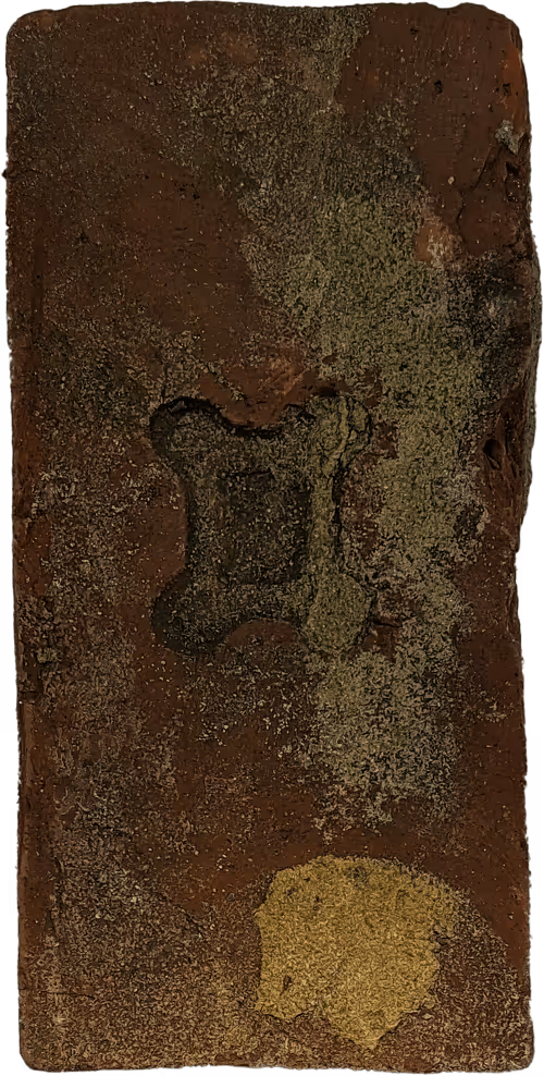 Item #73194705281701025861912132659705259899383078261166353176173450375450966622209 Media