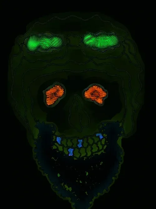 Item #80926432860847288351557924068159633664804178470775081465336394931327312330753 Media