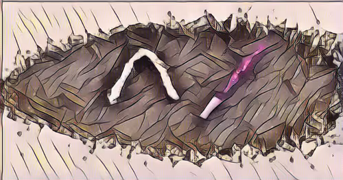 Item #42093524335751494135249053847432370819617106134141189519089943489378701551376 Media