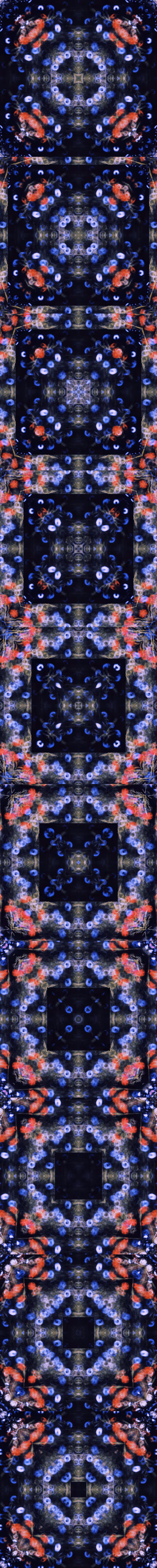 Item #33273431064062745158281459223994481396408298461003960329838769677738369351685 Media