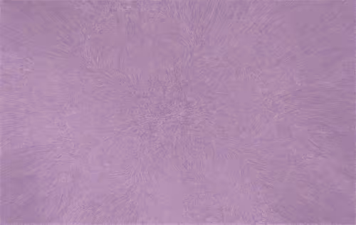 Item #50684197605774142208935566748693813750684281578315025193761267598048511393793 Media