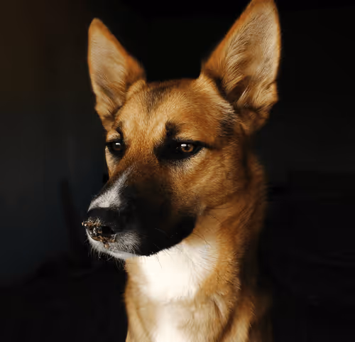 Item #21998851563374024830855734548406497871386812282373369252123987968654898626561 Media