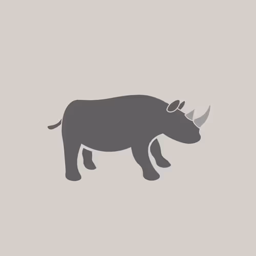 Item #50936484197759787653400752667682179396459806793015042147278738720008808955905 Media