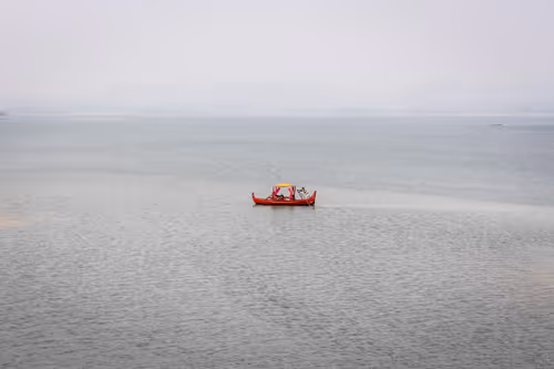 Item #45501851568490110559881953571399268694452100533417321846442246330046373429278 Media