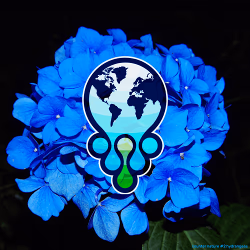 Item #64536456341285675859788069130660088481171403000174399081275630852175726379009 Media