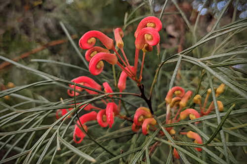 Item #39075669952795110311488058078452160275975432518977374571902800578332856418305 Media