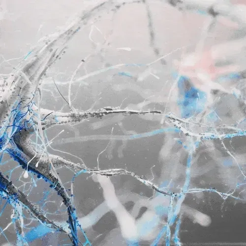 Item #106104304675682253760227113257433260080773305440234723394476614457444765007873 Media