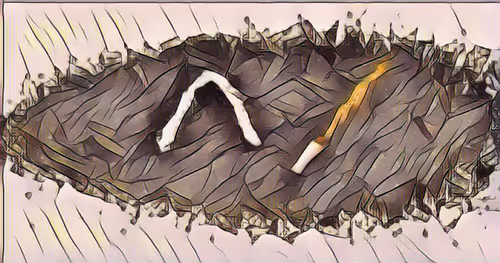 Item #42093524335751494135249053847432370819617106134141189519089943492677236434704 Media