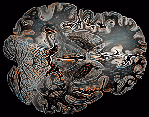 Item #41797469363834440502181864758100633672867482759361067528328297312455256702977 Media