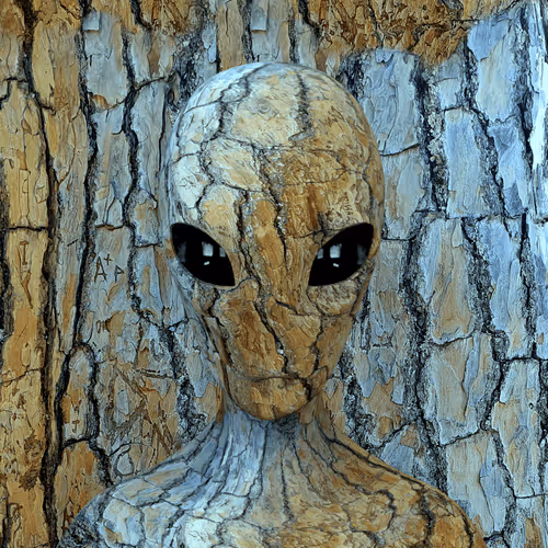 75317521654844928011442235037971825263063970787729373374065806907584502825960