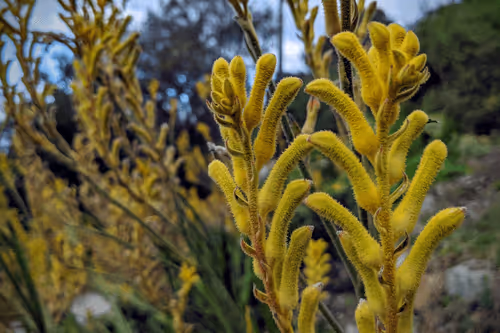 Item #39075669952795110311488058078452160275975432518977374571902800579432368046081 Media