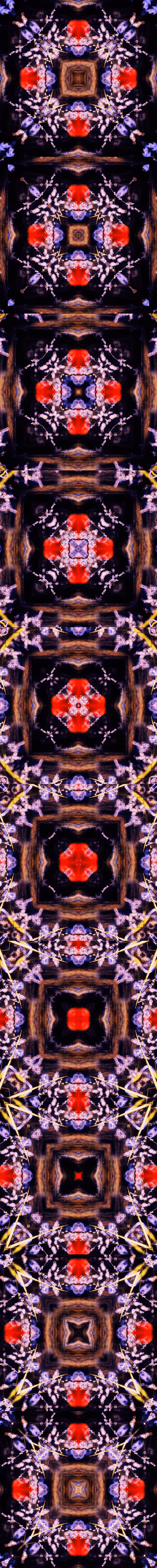 Item #33273431064062745158281459223994481396408298461003960329838769682136415862789 Media