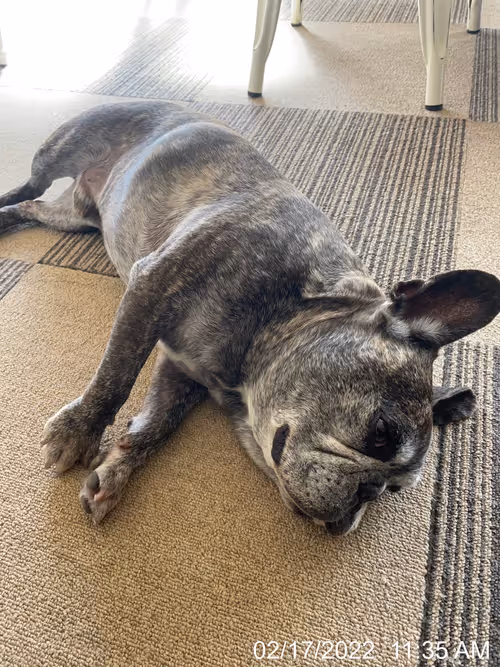 Item #99685864258770601277757069699041273913103300030191572471139504640546213724161 Media