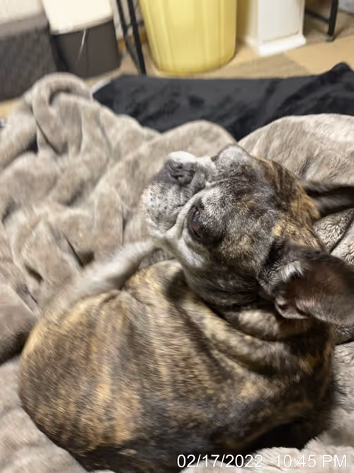 Item #99685864258770601277757069699041273913103300030191572471139504787880771846145 Media