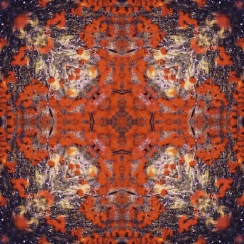 Item #33273431064062745158281459223994481396408298461003960329838769683235927490565 Media