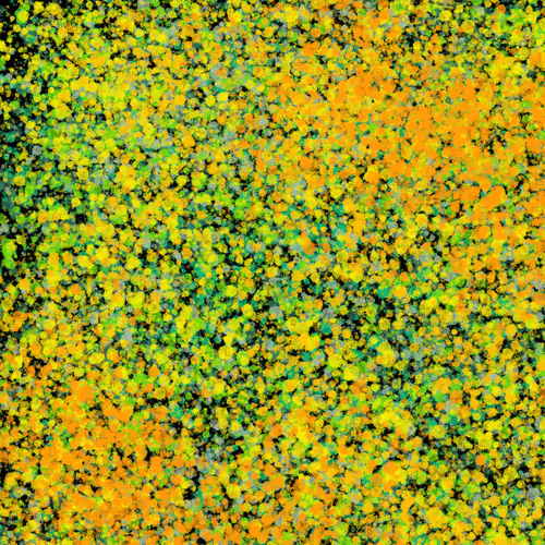 Item #7965548957634048696058756427613810033332288381231321723297303216382854299649 Media