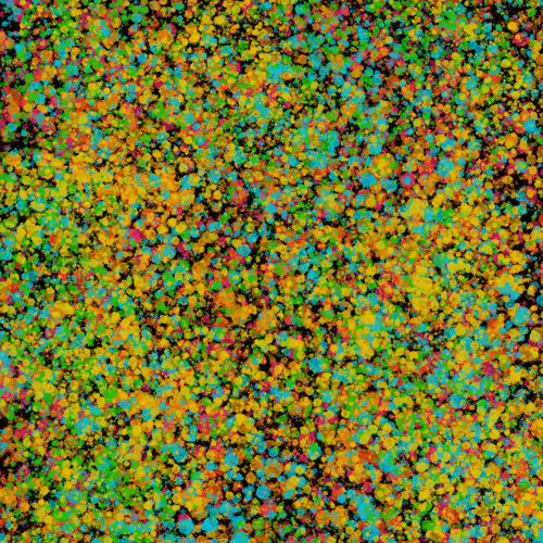 Item #7965548957634048696058756427613810033332288381231321723297303199890179883009 Media