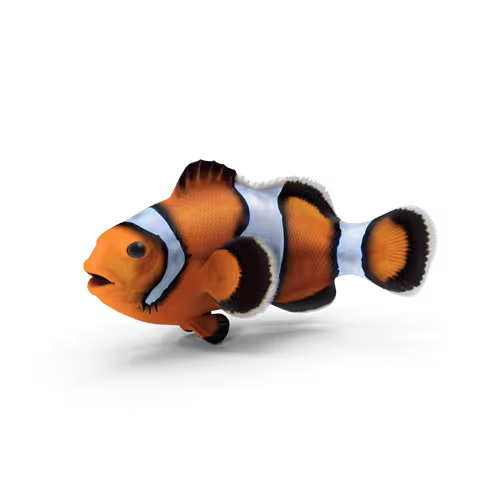 Item #10692128177869217616549875812351760064044743259876947564500344178979784097797 Media