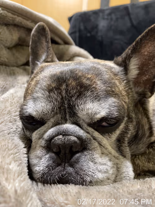 Item #99685864258770601277757069699041273913103300030191572471139504748298353246209 Media