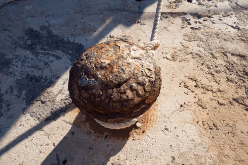 Item #99206175731752603969632246751396839615347692654100145142238794285200921591811 Media