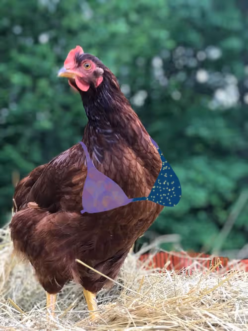 Item #94805265999709624542573221324772378019818175988873368548427765407391615549441 Media