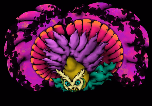 Item #18973602242536162022137061754025490174653250976328752625544697751649180975105 Media