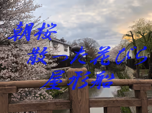 Item #105860209069510851658697483595549526517143773271628059867265555033597587488771 Media