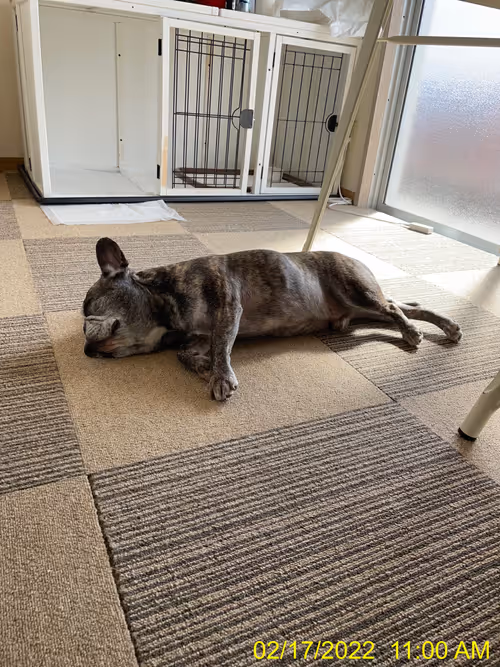 Item #99685864258770601277757069699041273913103300030191572471139504632849632329729 Media