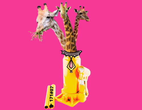 Item Media