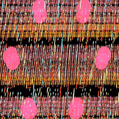 Item #50684197605774142208935566748693813750684281578315025193761267593650464882689 Media