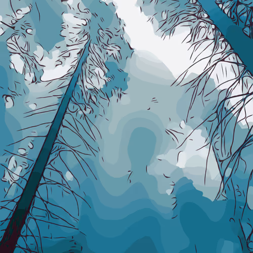 Item #11059950706512792654802825929225580501304675851141237056698729649962099933189 Media