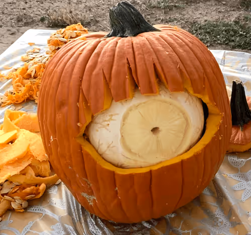 Item #82178559620026326219165803293821437144978059233678239568219416594509790707713 Media