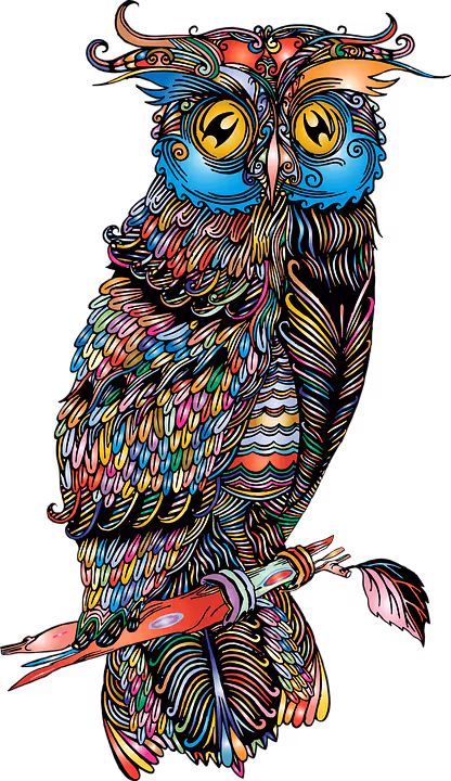 Item #49698930812034754687834699509278009210064520846457755747289507990675463864323 Media