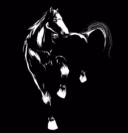 Item #113019650372937085562714205815684762417751518732997168975747479995698718441473 Media