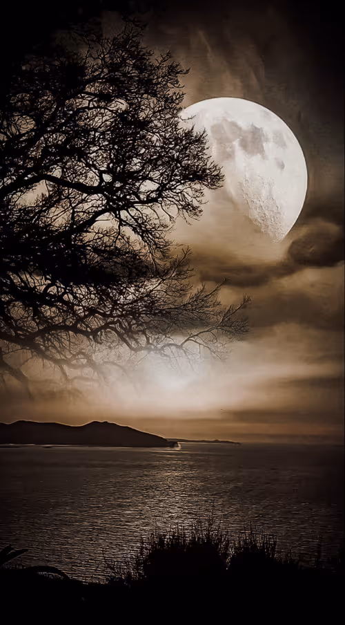 Item #112643705971008067726643793676849941688373610441661815483417522042170043793409 Media