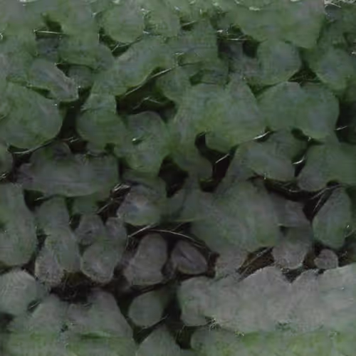 Item #58241160855422744817468407088196322100109565521561100950236908761959645577217 Media