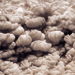 Item #17707101094511745536206163154851925595907529472372020635069989087619015770162 Media