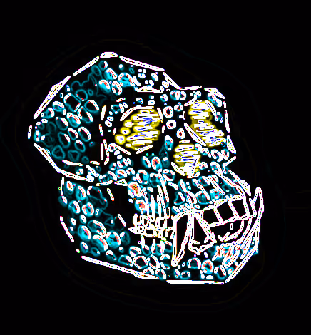 Item #80926432860847288351557924068159633664804178470775081465336394970909730930689 Media