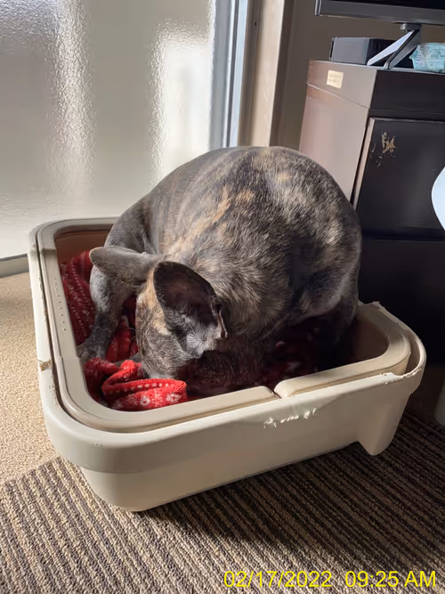 Item #99685864258770601277757069699041273913103300030191572471139504611958911401985 Media