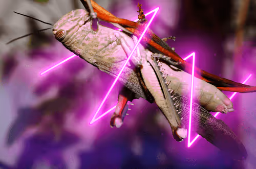 Item #21998851563374024830855734548406497871386812282373369252123987908181759098980 Media