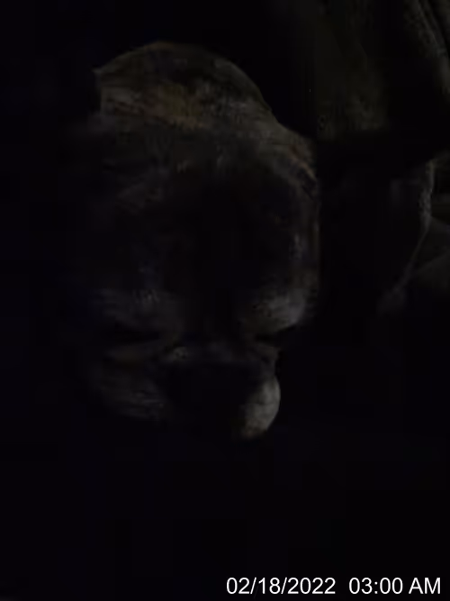 Item #99685864258770601277757069699041273913103300030191572471139504807671981146113 Media