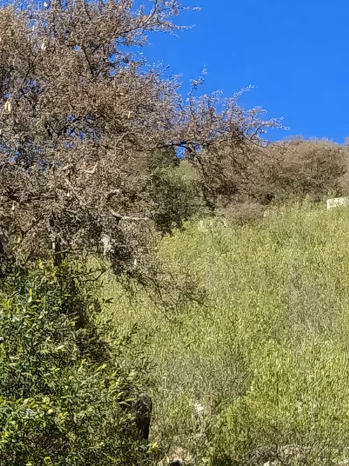 Item #109710830588480399268409455357539415839296167473445884238230358335087875981313 Media