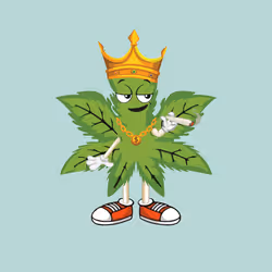 91388360688373327635579820732488516580785449605056093369104029373404243034113